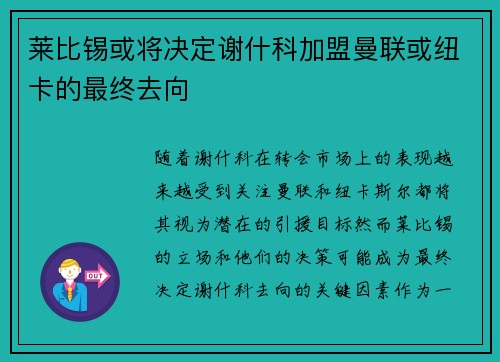 莱比锡或将决定谢什科加盟曼联或纽卡的最终去向