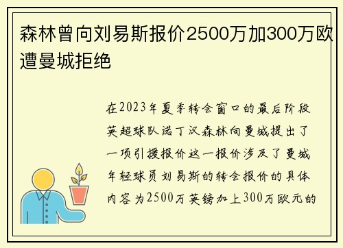 森林曾向刘易斯报价2500万加300万欧遭曼城拒绝